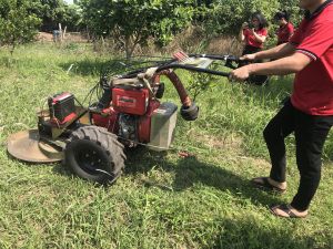 Máy cắt cỏ đa năng BM91