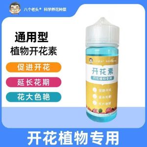 【HOT SALE】Lotus Water Lily Seeds Bowl Lotus Flower Seeds Home Garden Planting Multi-Color Mix Mini Lotus Seed莲花睡莲种