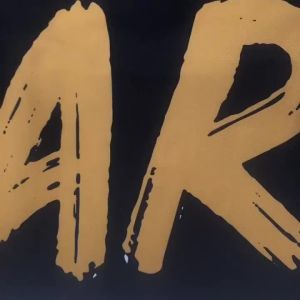 MMA - Thai Tiger Muay Shorts for Men Pants for Kickboxing Boxing Training Fitness Gym Mixed Martial Arts Jiu-Jitsu Combat Clothing