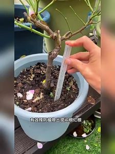 WH 50/30/10Pcs Plant Breathable Aeration Tubes - Soil Care Tool - Dry Wet Cycle Drainage Pipes - Home Gardening Tools - Root Rot Prevention Potting Fertilizer Tube