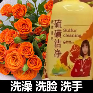 MY仓发货 抖音同款 硫磺沐浴露净肤留香型三合一控油除螨祛痘止痒洗发水