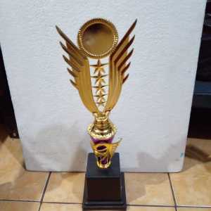 Piala Lomba Juara 1 2 3 4 (N0.21 BODY UNGU RASER) "costum" FREE STICKER (BOLEH satuan)TERMASUK SETICKER DAN FREE DESIGN