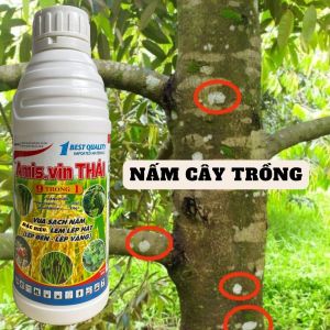 VIN THÁI AMIS 1 LÍT ĐẶC HIỆU NẤM KHUẨN RONG RÊU LEP LÉP HẠT LÉP ĐEN LÉP VÀNG