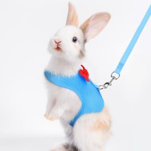 CRUSHES Breathable Bunny Harness Leash Polyester Adjustable Size Pet Walking Leash  Escape-Proof Bowtie Training Rope Small Pets Use