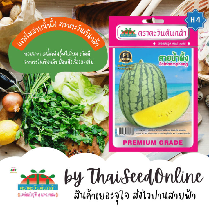 เมล็ดพันธุ์แตงโมสายน้ำผึ้ง F1 ตราตะวันต้นกล้า หวานหอม