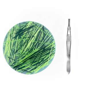LFPLYQ With Tweezers Skin Picking Fidget Round Hair Pulling Sensory Picking Pad Funny Colorful Silicone Picking Pad Adults