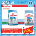 Royal Canin Starter Mother&babydog MINI และ MEDIUM รอยัลคานินอาหารสุุนัข แม่สุนัขตั้งท้อง ให้นม และลูกสุนัข ขนาด 1 kg. 