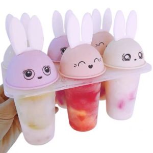 Khay làm kem sét 6 que khuân làm kem cao câp