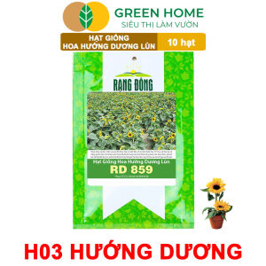 Hạt Giống Hoa Hướng Dương Greenhome Gói 10 hạt Sai Hoa Màu Rực Rỡ Dễ Trồng Quanh Năm Nảy Mầm Cao H03