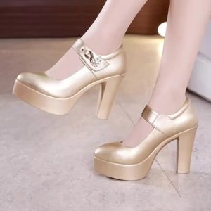 5 8 10cm Small Size 32-44 Elegant Gold Silver Wedding Shoes Women Platform Pumps 2026 Block High Heels Shoes Dress Office Model