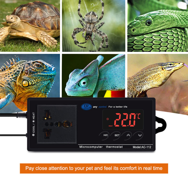 Digital Temperature Controller Thermostat Outlet Reptile