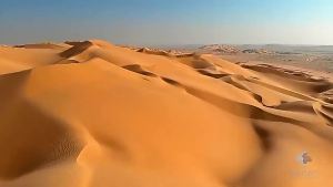 Niuqiang Infant Moisturizing Moisturizer Childrens Skin Nourishing Body Lotion Moisturizing Face Cleansing Skin Care Anti-Counterfeiting