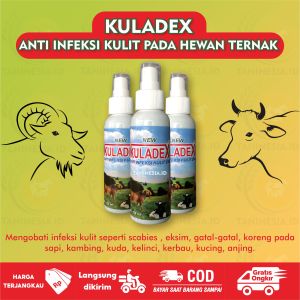 Obat koreng sapi kuladex spray anti luka lalat hewan ternak sapi kerbau kambing domba ampuh mengatasi gatal jamur scabies 100ml