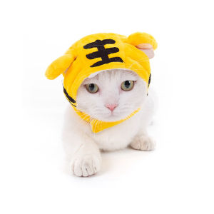 หมวกแมว หมวกสุนัข หมวกหมา หมวกสัตว์เลี้ยง Pet Hat แฟชั่นสัตว์เลี้ยง S M L หมวกคลุมหัวเเมว สุนัข กระต่าย หมวกคลุมหัวสัตว์เลี้ยง หมวกกระต่าย