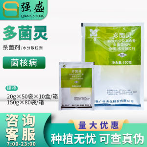 Hóa chất nông nghiệp Quảng Tân 90% Thuốc trừ sâu Carbendazim cho củ cải hạt dầu bệnh thối củ nốt dạng hạt phân tán trong nước 20g-150g