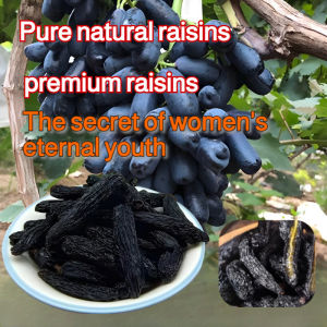 【明亮双眼】Turpan Sapphire Raisins Seedless Large Size Raisin King Natural Snacks吐鲁番蓝宝石葡萄乾