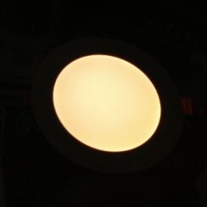 LedlightsMNL Slim Panel Light Round 6W 9W 12W 18W 24W Ceiling Spotlight Pinlight for Indoor Downlight