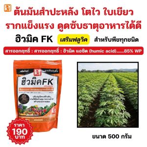 ปุ๋ยสำหรับต้นมันสำปะหลัง ฮิวมิค FK สูตรเข้มข้น เพื่อดินดี ต้นโตไว ใบเขียว รากแข็งแรง เพิ่มผลผลิตพืช