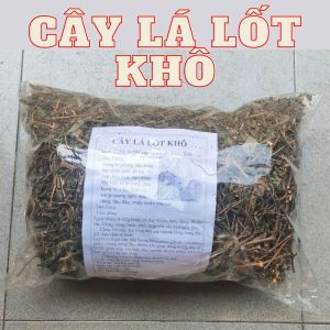 [ HOÀN TIỀN 15% ]  (Sản phẩm phơi - sấy khô nguyên sơ) Một ký cây lá lốt đã phơi sấy khô dùng ngay để hỗ trợ các vấn đề về gan đau nhứt xương đầu gối ra mồ hôi tay chân