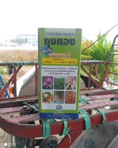 เร่งราก-ดี ถุงทอง 100ซีซี 500ซีซี ไม้ดอกไม้ประดับ พืชผักผลไม้ เร่งราก สาร บำรุงราก เพิ่มการแตกราก ใหม่ ให้พืชเจริญเติบโตแข็งแรง ราก