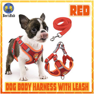 Dog Harness with Leash Set Reflective Walking Running Dogs Collars No Pull Outdoors Travel