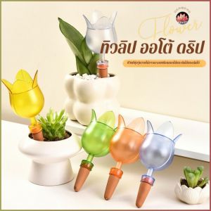 เจาะ เติมน้ำในคราวเดียว การใช้งานแบบขี้เกียจ รดน้ำ การเจาะ สไตล์แฟชั่น ประหยัดความกังวลและความพยายาม