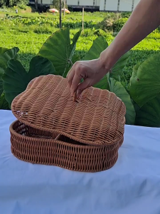 Unique Style Rattan Basket Tray Natural Rattan Basket Tray 5 Divisions Holders For Efficient Storage And Display