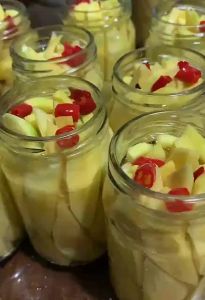 RSSHOPS Pickled Mango Carabao Burong Manga (Improved Packaging) Pinaka MURA Pinaka MASARAP 220ml