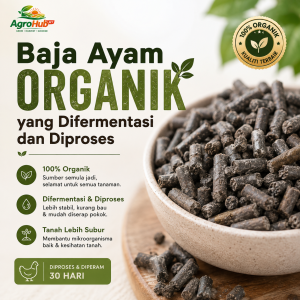 Organic Fermented Chicken Manure Fertilizer | Processed Chicken Manure | Suitable for Fruits & Vegetables | Higher Yield & Improved Soil Fertility