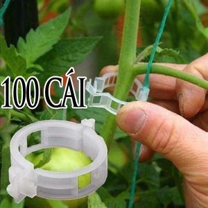 Bộ 10-50-100 Kẹp Khoanh Tròn Cố Định Cành Cây Cứng Và Dây Leo