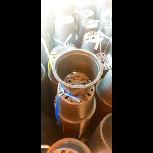 [ขั้นต่ำ15ใบ]กระถาง 6นิ้ว อย่างดี  หนา เหนียว ทน By.คิม เกษตรเงินล้าน