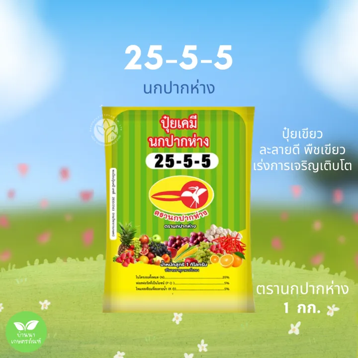 10 อันดับ ยาปราบศัตรูพืชและปุ๋ยบำรุงพืชยอดนิยม 2025: คู่มือครบวงจรสำหรับสวนสวย