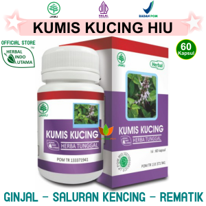 KUMIS KUCING  HERBAL INDO UTAMA HIU 60 KAPSUL JAMU OBAT ISK INFEKSI SALURAN KENCING TERUS MENERUS SUSAH SAKIT BATU GINJAL EMPEDU PELANCAR SENI ANYANG ANYANGAN