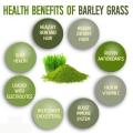 (ON HAND) Barley grass powder japanese navitas barley grass powder original Pure Barley Grass Powder No Additives or Preservatives Barley Powdered Drink (3gx15pcs). 