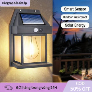Đèn LED ngoài trời năng lượng mặt trời chống mưa với thiết kế bền đẹp phù hợp trang trí và chiếu sáng sân vườn ban đêm