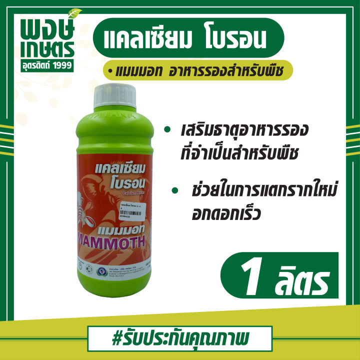 MAMMOTH Calcium Boron ปุ๋ยเคมี เนื้อแน่น รสหวาน