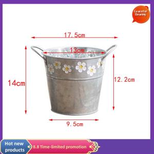 Graceful Vintage Iron Flower Pot Desktop Flower Vase Plant Flowerpot Balcony Plant Bucket
