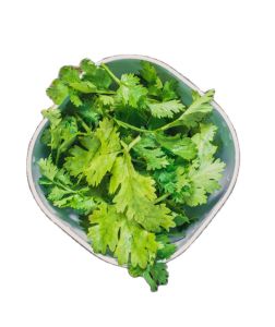 Coriander Wansoy Herbs 30 - 50 Seeds Outdoor Garden Plant