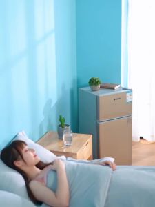 Chigo Refrigerator Small Household Two-Door Dormitory Mini Mini Refrigerator Rental Special Offer Refrigerator Frozen Refrigeration