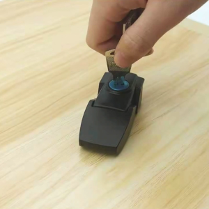 Hộp công cụ Tủ Toggle Hasp bắt khóa với chìa khóa