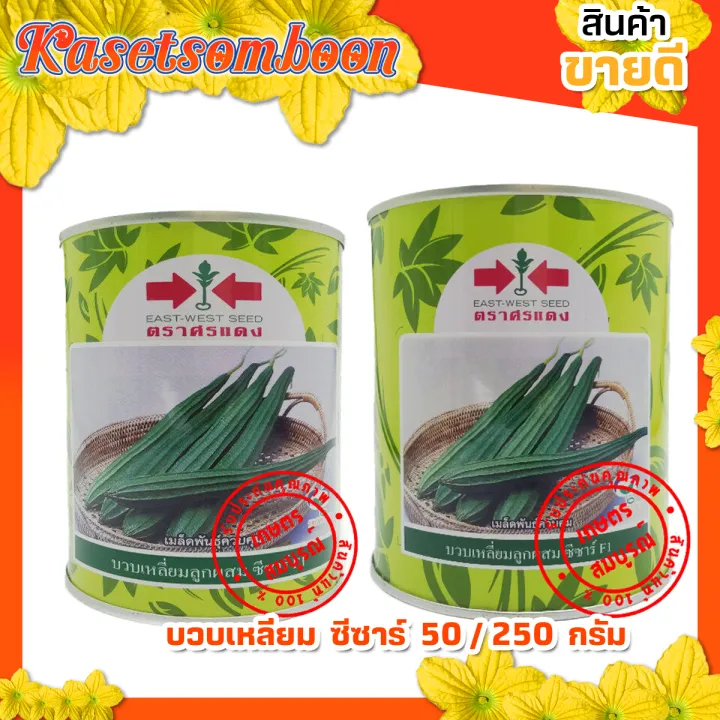 เมล็ดบวบเหลี่ยม พันธุ์ซีซาร์ ตราศรแดง ผลเขียวคุณภาพ