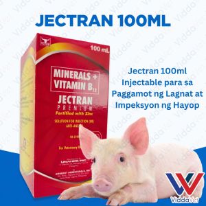 Iron Plus para sa Malulusog na Biik Viddavet 100ml Ang Iron para sa Iyong Mga Biik jectran premium with zinc 100 ml