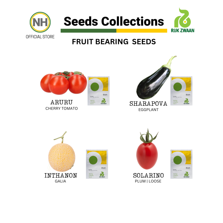 Rijk Zwaan Fruit Bearing Seeds I 100pcs I NutriHydro Lazada PH