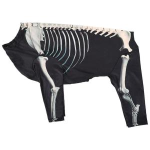 Pet Dog Hoodies Clothes 4Leg Sweatshirt Skeletons Costume Halloweens Dog Costume Hoodies Shirt for Various Breeds