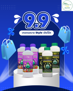 โปร 9.9 ปุ๋ยธาตุรวม VAMAX 3 ลิตร + แคลเซียมโบรอน CABMAX 3 ลิตร ส่งฟรี