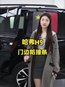 For HAVAL H9 2025 2026 Door Crash Strip Rubber Edge Protection Trim Stripe Adhesive Scratch Protectfor