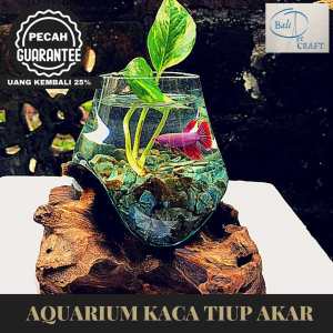 AKUARIUM IKAN CUPANG UKURAN 13 CM (BISA COD) / KACA TIUP DAN AKAR BALI / AQUASCAPE / AQUARIUM UNIK GLASSWOOD/ WOODEN CRAFT / IKAN HIAS / READY STOCK