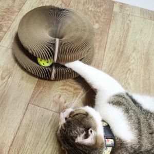 Hot Item Magic Organ Cat Scratcher Board Spinning Ball Toy Bell Scratch Round Corrugated Mainan Papan Pencakar Kucing 猫抓板貓玩具爆品
