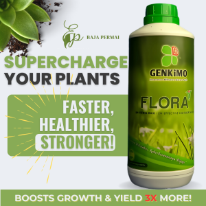 GENKIMO-Flora 1L | 3X Faster Growth | Stronger Plants | Organic Plant Booster!