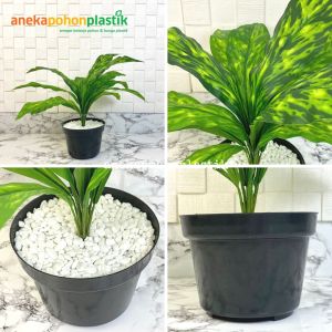 Tanaman Hias Daun Aglonema Romeo X12 Semi Latex Artificial Pot Dasar HItam Plastik Dekorasi Pajangan Ruangan Rumah Aesthetic